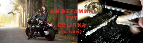 прущий лед Богданович