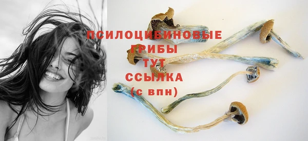 МДПВ Богородицк