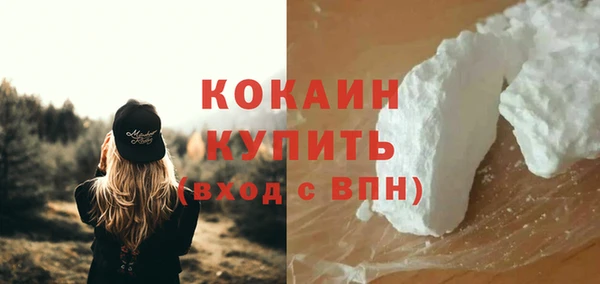 прущий лед Богданович