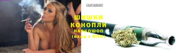 гашик Богородск