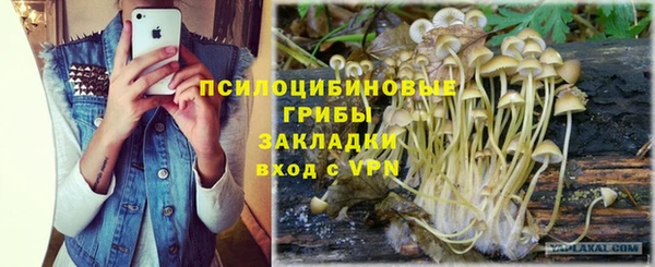 МДПВ Богородицк