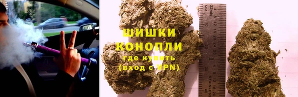 прущий лед Богданович