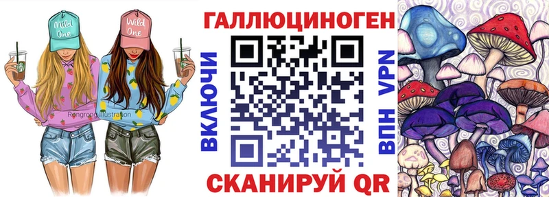 Галлюциногенные грибы Psilocybe Моздок